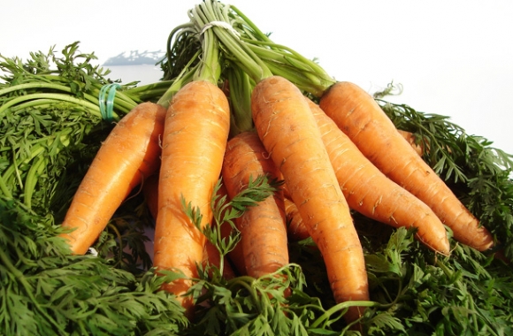 Huile de carotte, pour un teint uni et un bronzage parfait !